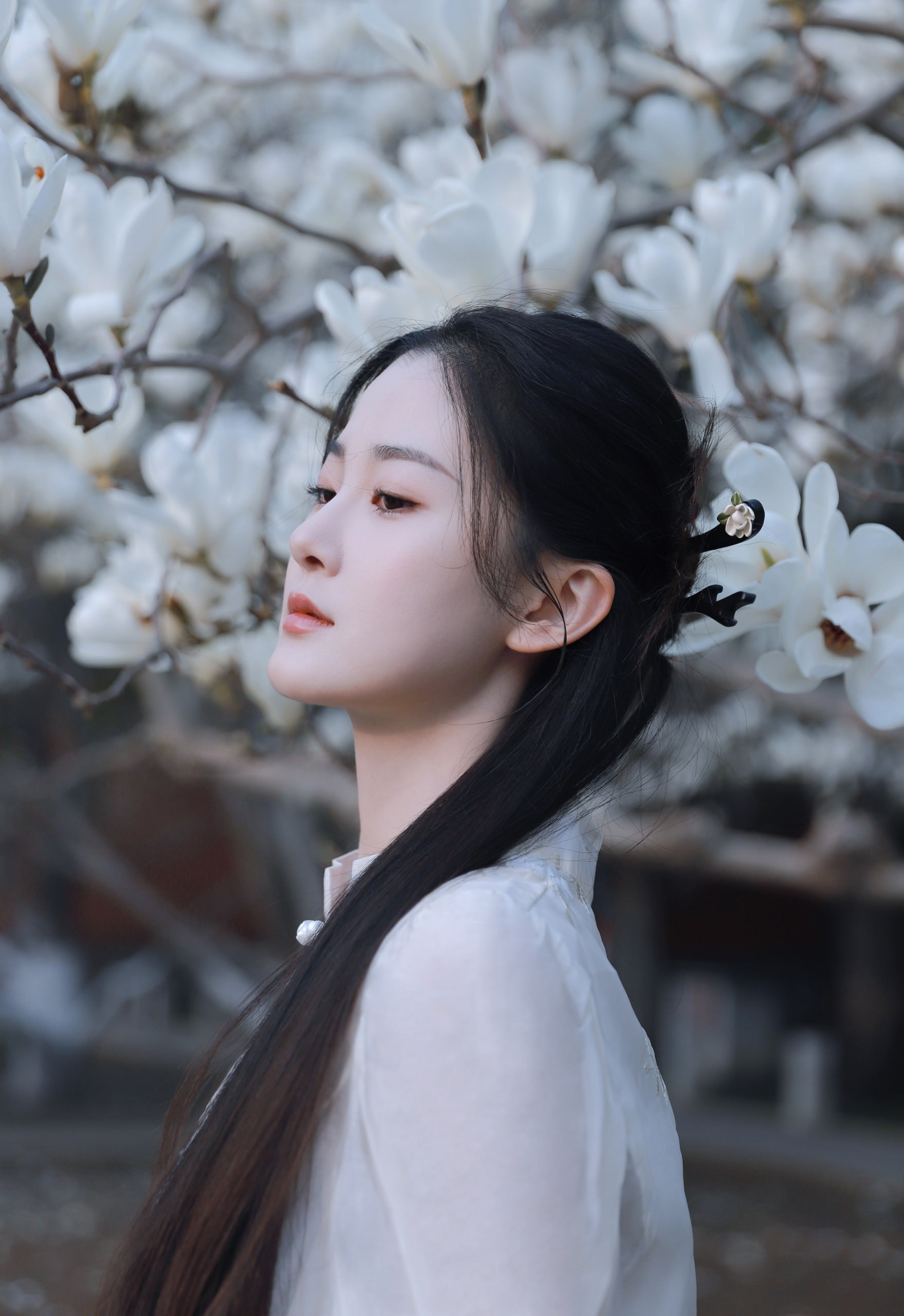 china宝哥开麦的声音 china宝哥喊麦